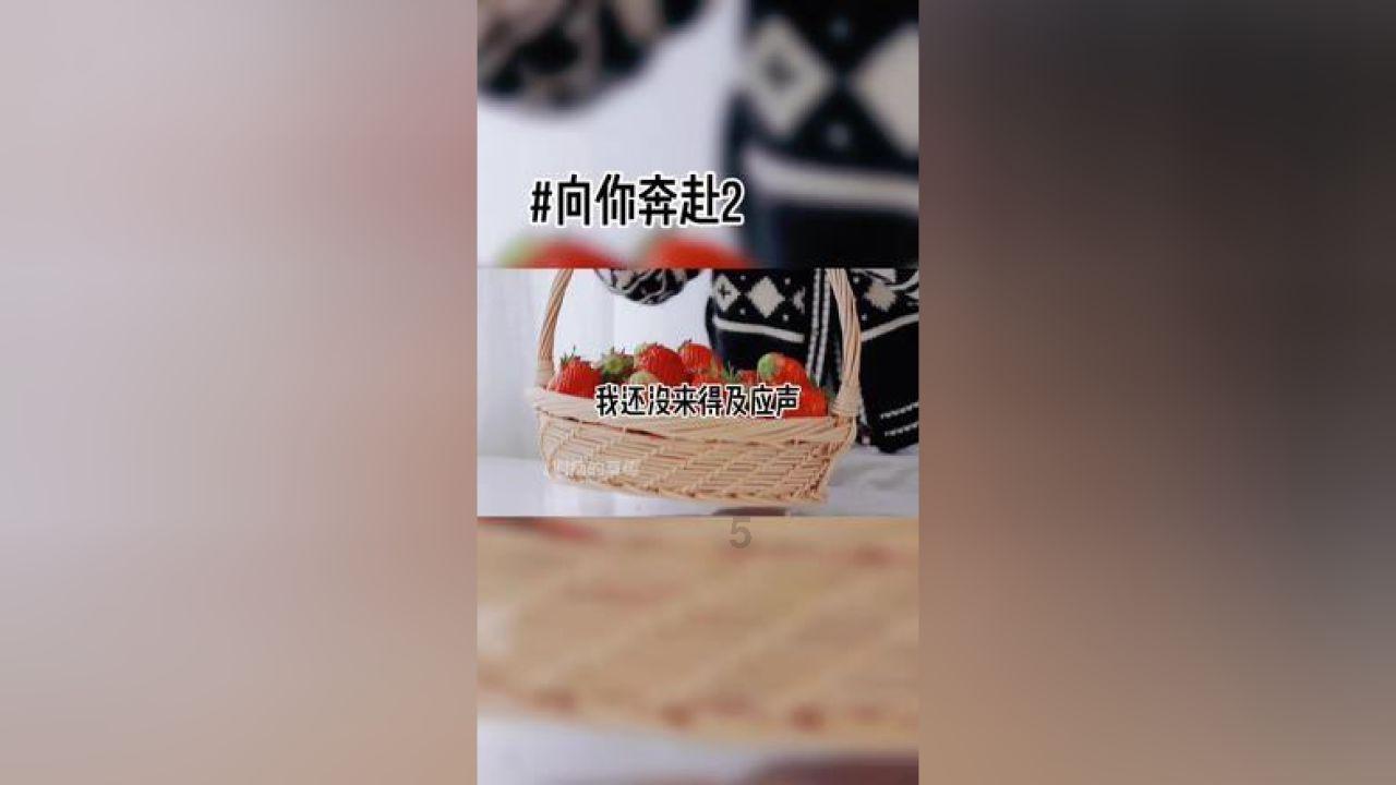 女孩们的自由行
