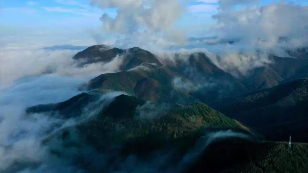 除鬼师