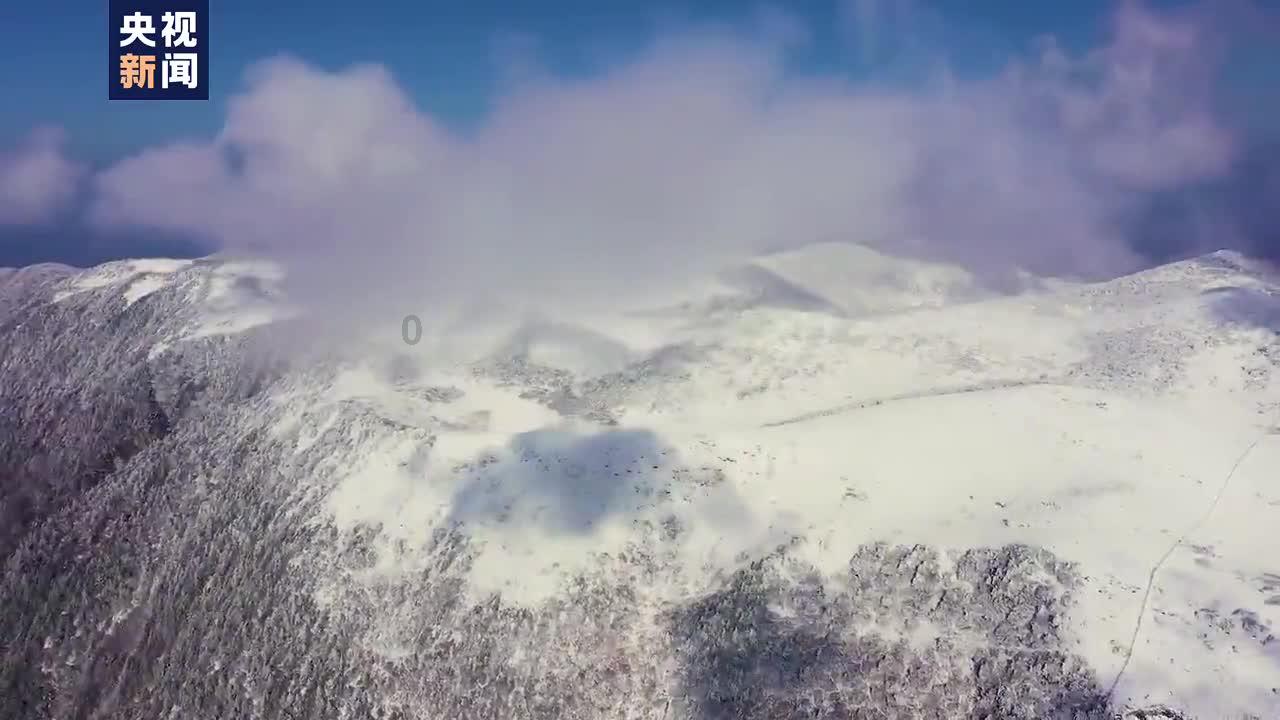 既要精准打击集资犯罪 也要持续加强合规治理