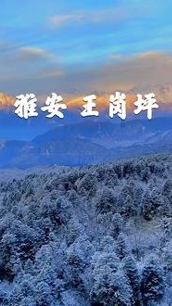 月光影视