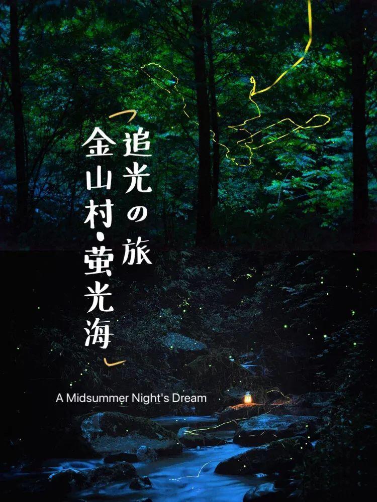 探索世界,畅谈知识——玉米种子与玉米模式不同时出现会影响产量吗?蜗牛问答平台