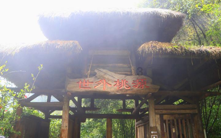 救援可爱小松鼠