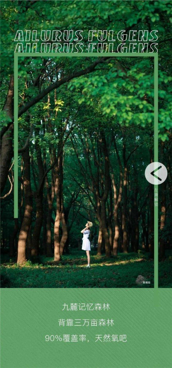 疑问解答,轻松找答案-清明节的由来是什么?问答网