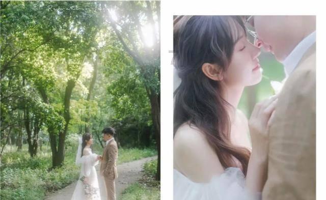 《动物收容所2》配置要求介绍