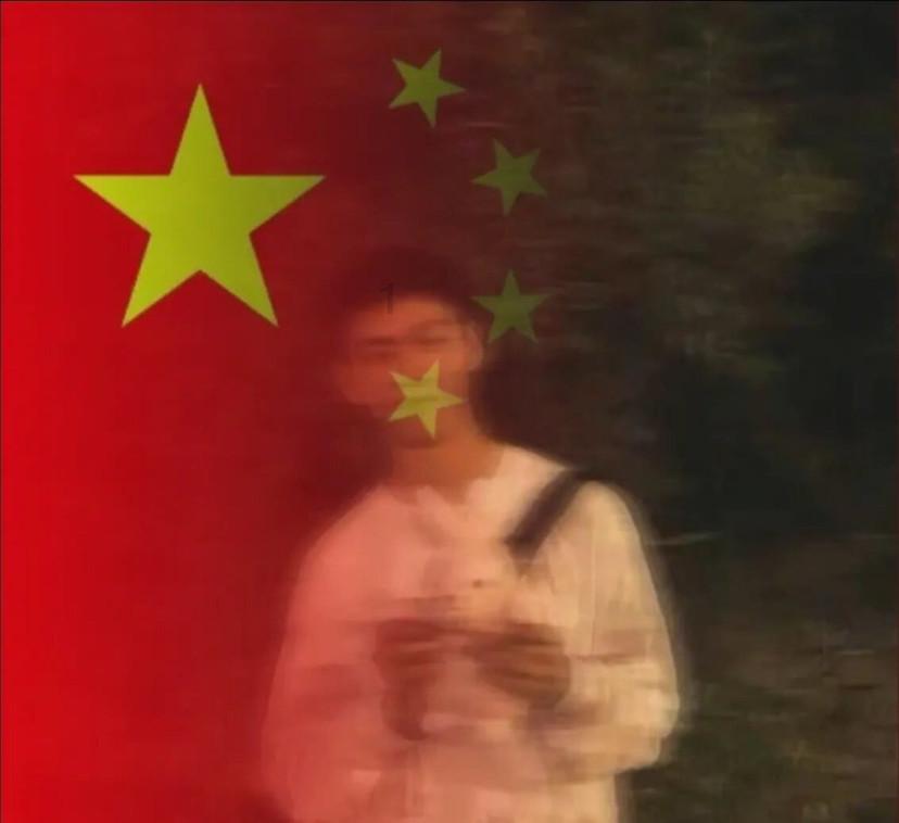 家里有千足虫怎么彻底消灭,家中现千足虫?彻底消灭攻略一览无余