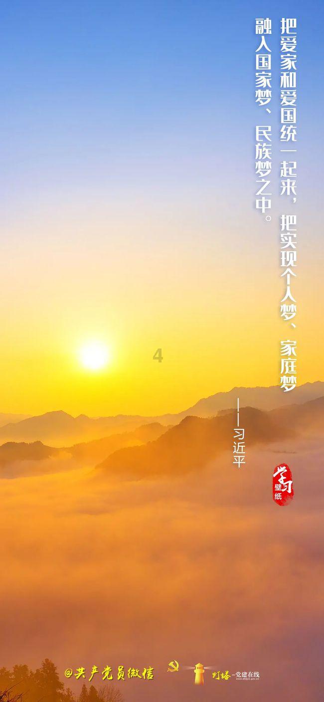 88影视
