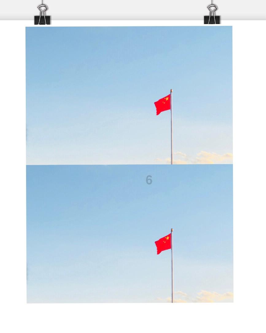 动物帮帮忙保卫家园