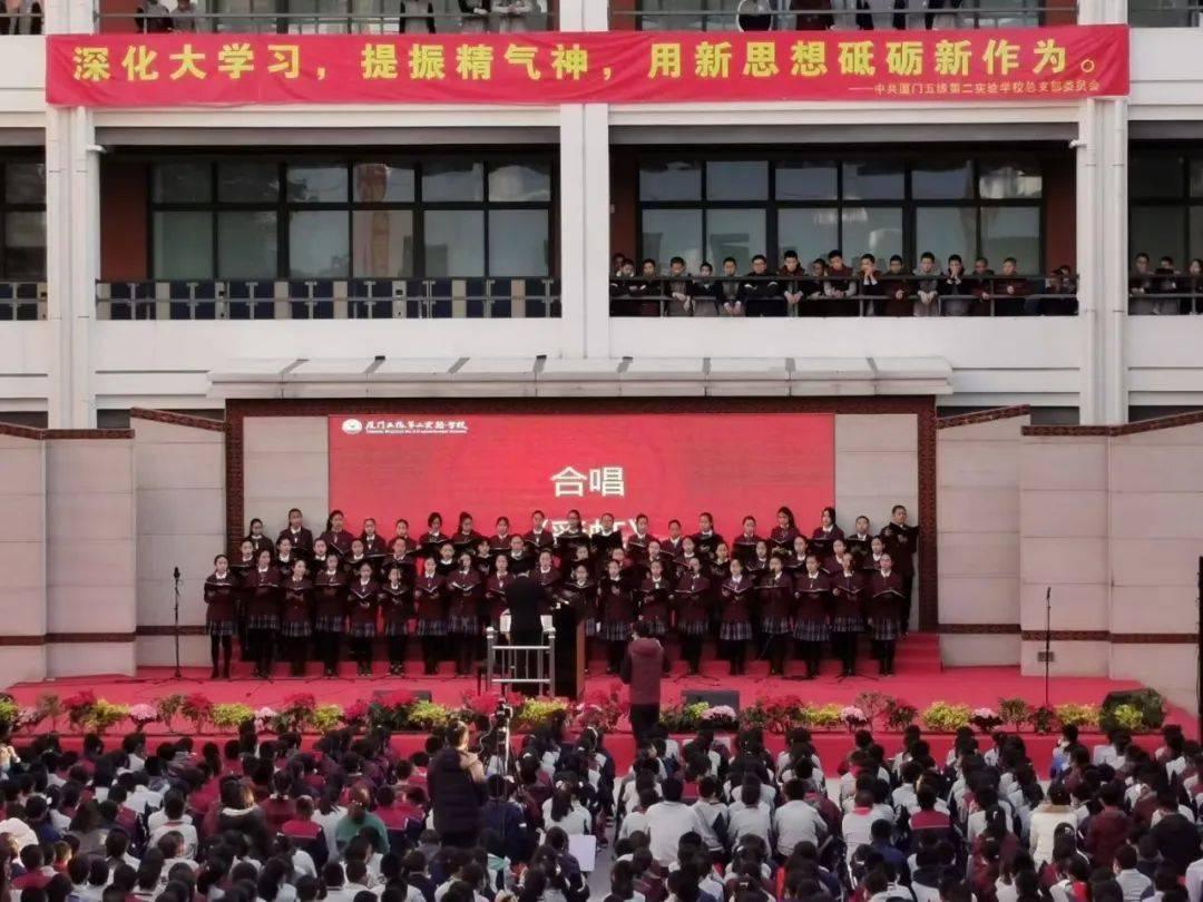 救援小巨鳄