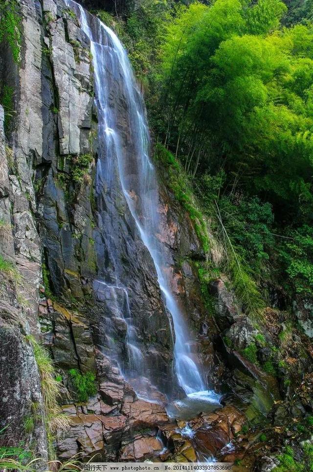 逃离泰莱森林