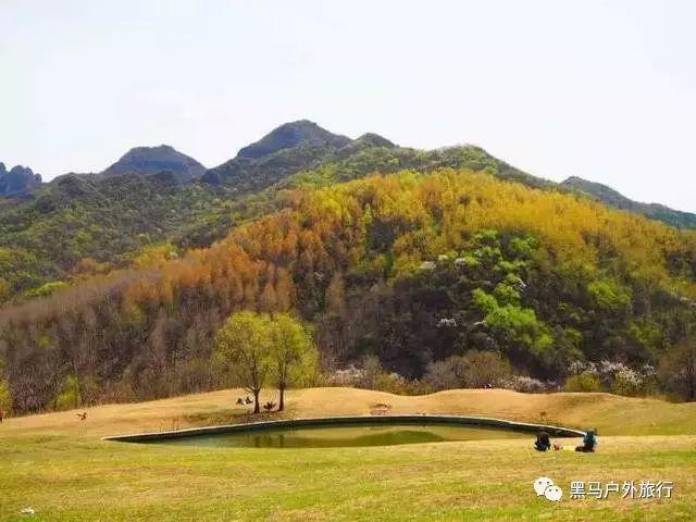 虫虫助手下载
