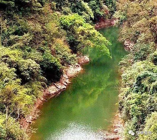 逃离制药厂