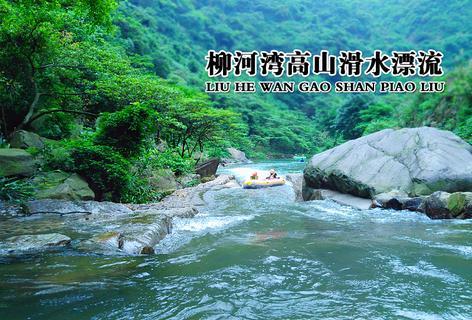 很多家长会用“树大自然直”来安慰自己，你是如何看待这句话的？