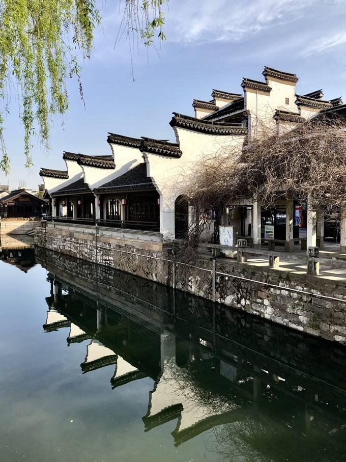 了解青岛一大妈在市场遛狗不牵绳致咬伤男童,狗主人需要承担什么责任?,探索知识星球平台的世界