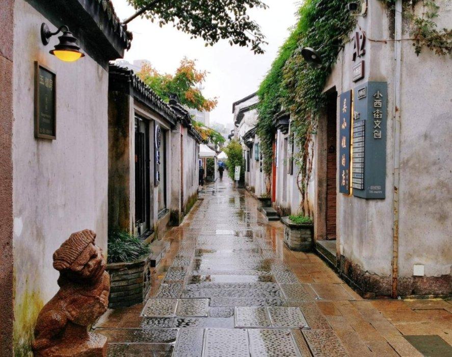 春雨直播app